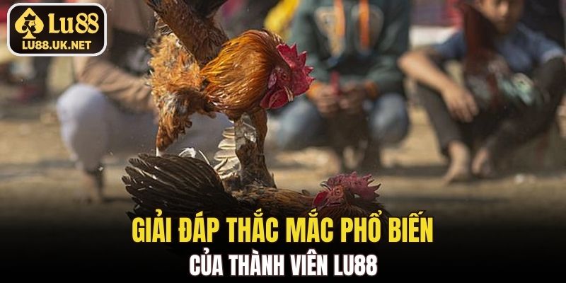 Giải đáp thắc mắc phổ biến của thành viên LU88