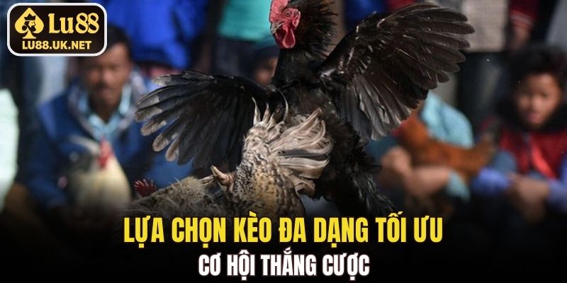Lựa chọn kèo đa dạng tối ưu cơ hội thắng cược